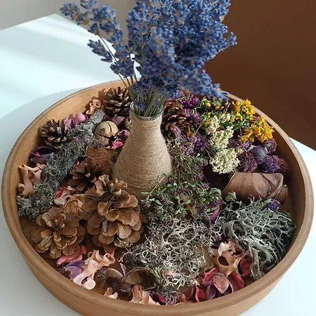 Apartament Divci Nova1- A8