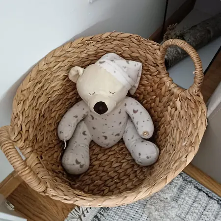 Divci Nova1- A8 * Divčibare