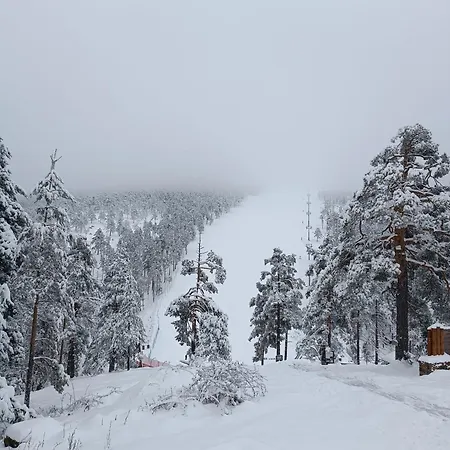 Divci Nova1- A8 Divčibare