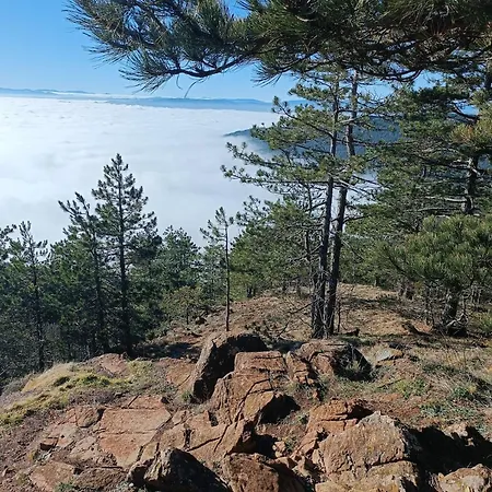 Divci Nova1- A8 Divčibare