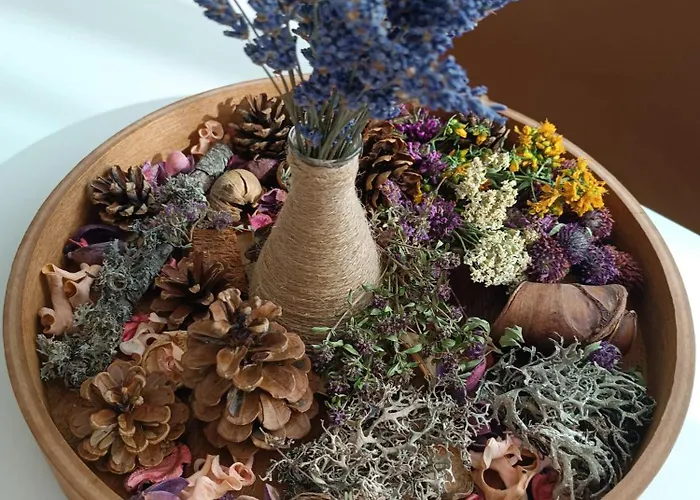 アパート Divci Nova1- A8