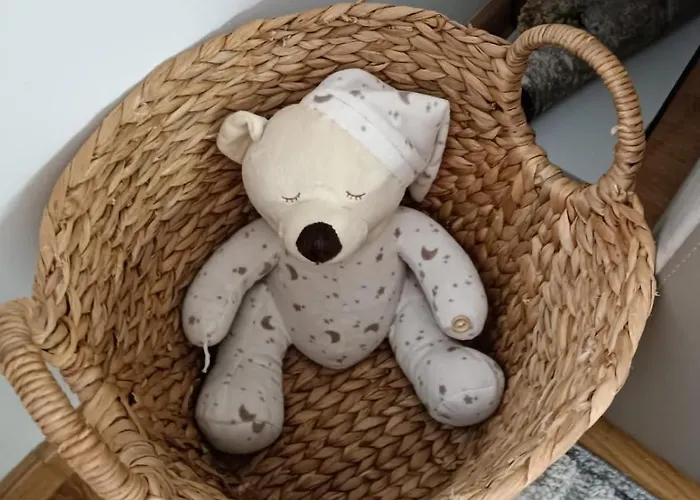 Divci Nova1- A8 * Divčibare