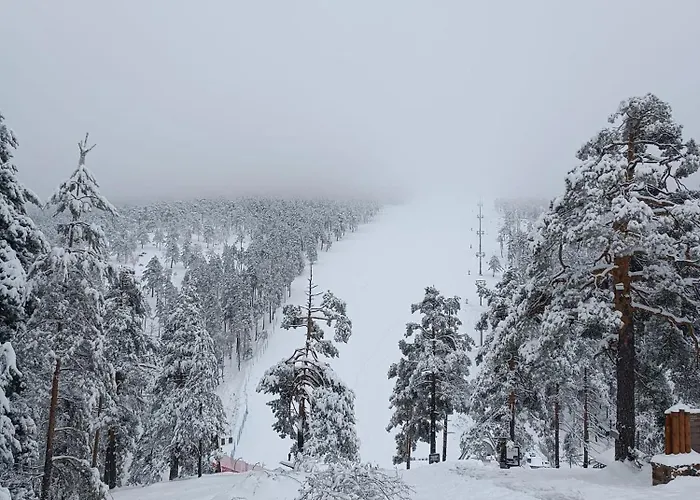 Divci Nova1- A8 Divčibare