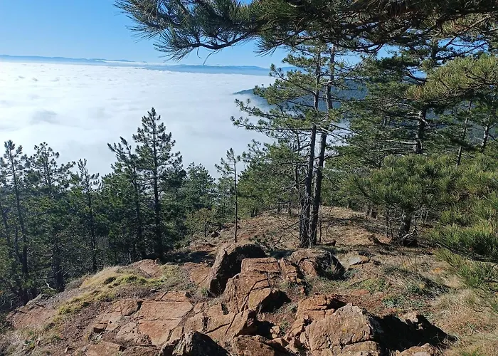 Divci Nova1- A8 Divčibare